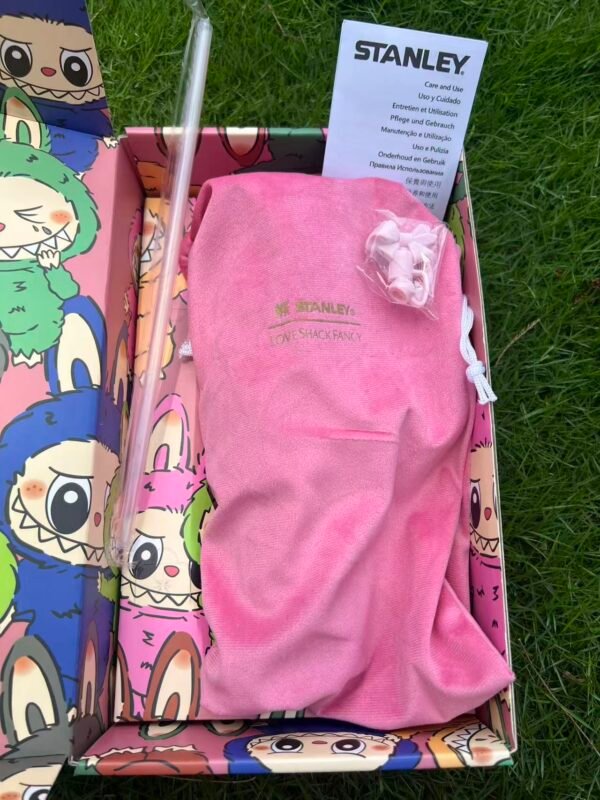 Custom Labubu pink Stanley Cup 40 oz Quencher with matching monster gift box and pink bow straw topper Pink character tumbler with velvet travel pouch and accessories